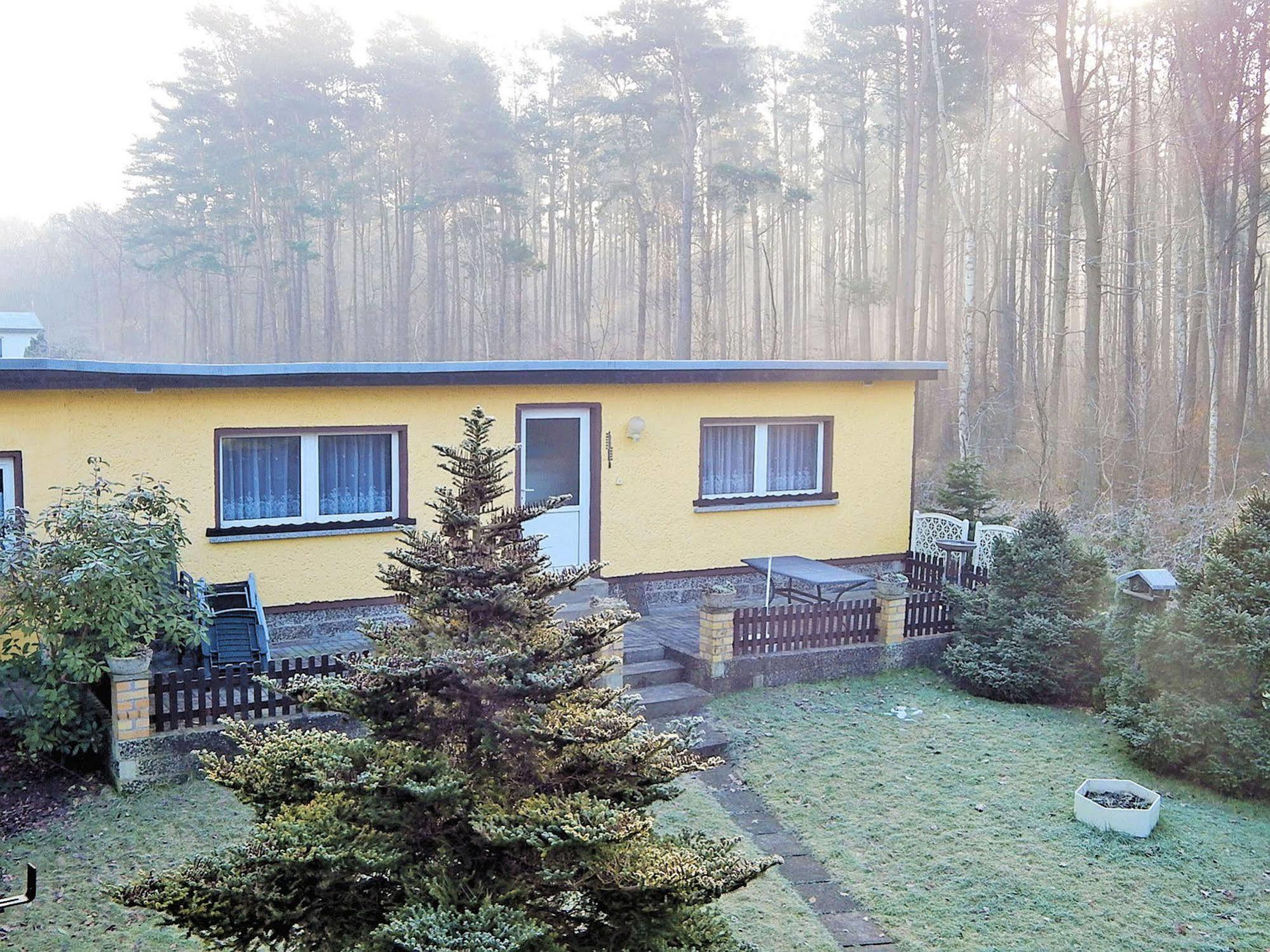 Ferienhus Baabe Fewo 01 Terrasse, Sauna- Und Schwimmbadnutzung Im Ahoi Sellin Экстерьер фото